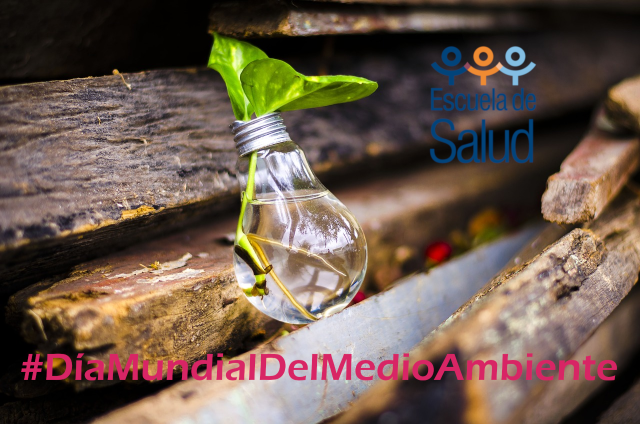 05/06/2019 - Día Mundial Del Medio Ambiente