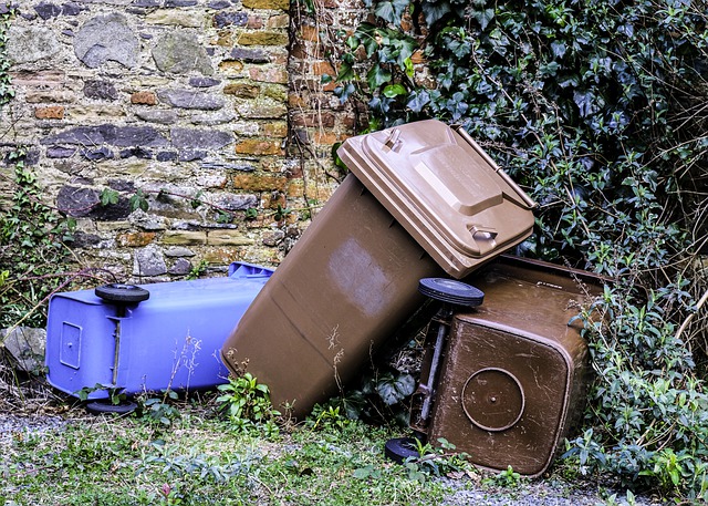 Gestión especial de los residuos domésticos en hogares con positivos o en cuarentena