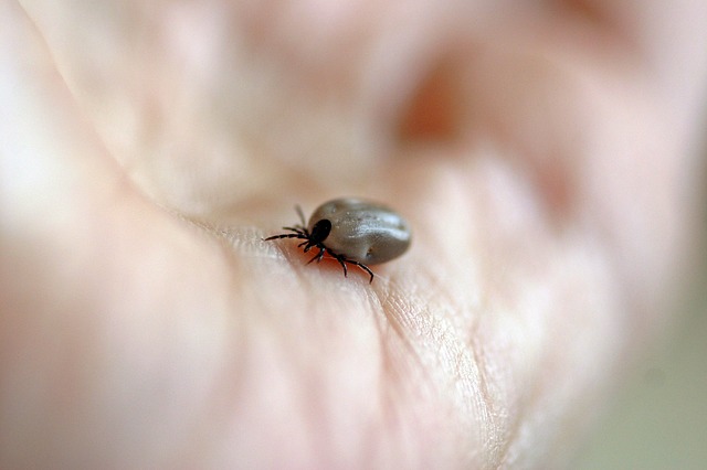 Zoonosis