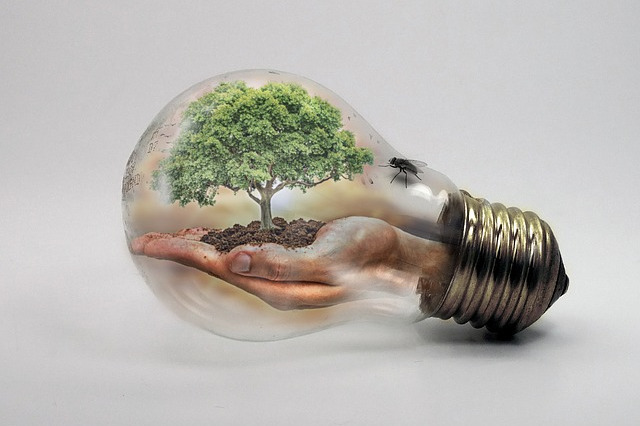 Cambio climático y salud