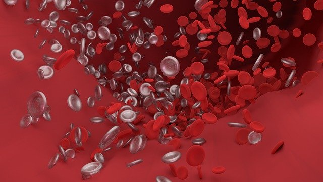 ¿Qué cuidados necesitan los pacienes que toman anticoagulantes (Sintrom)? - Murcia