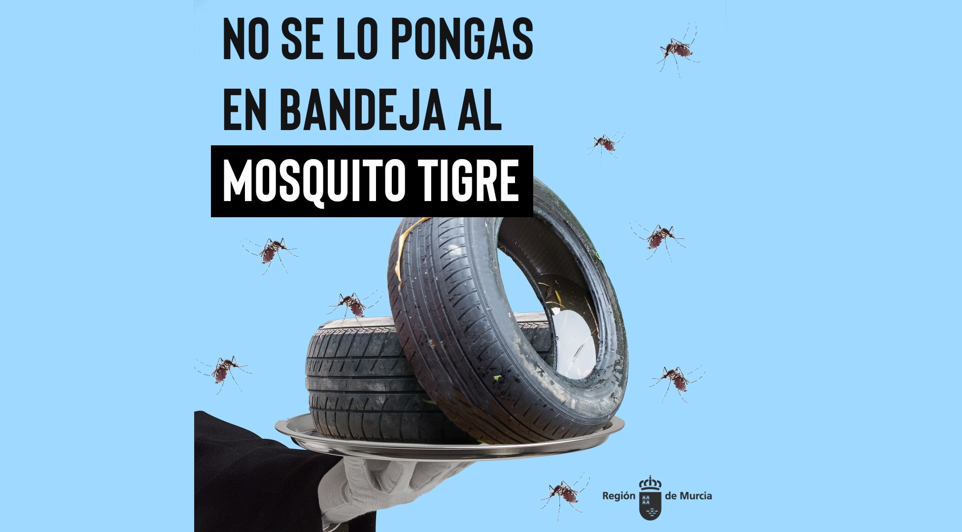 No se lo pongas fácil al mosquito tigre