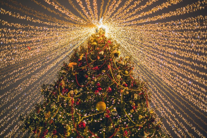 Árbol de Salud para una Navidad Diferente