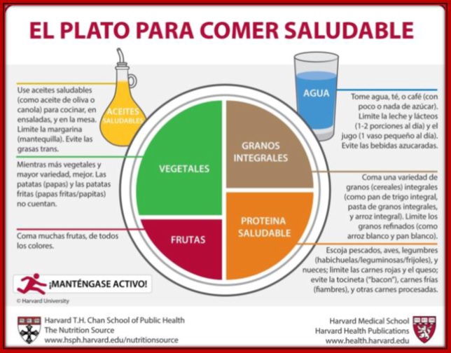 Consejos para una alimentación saludable