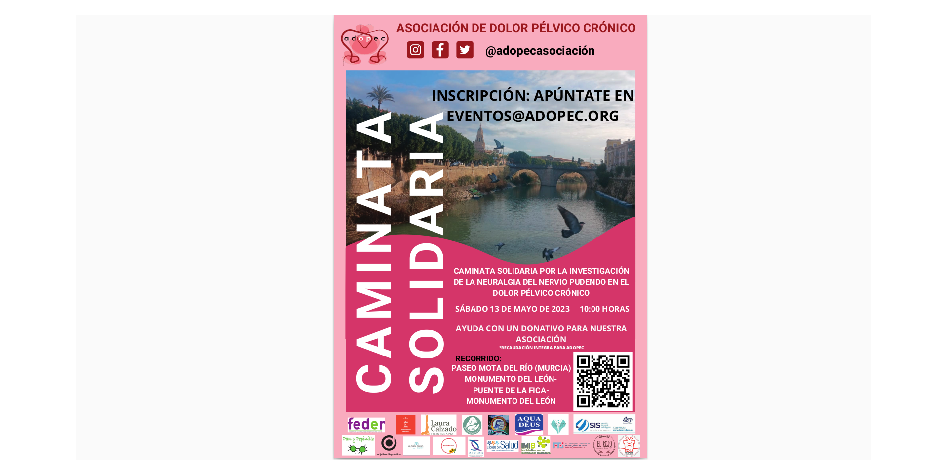 Caminata solidaria