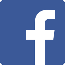 Facebook - Documento instituciones previas