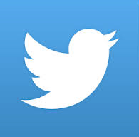 Twitter - Documento instituciones previas